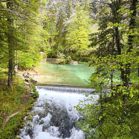 Skalca Βίλα Kamniska Bistrica Εξωτερικό φωτογραφία