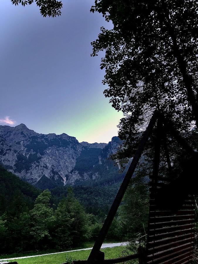 Skalca Βίλα Kamniska Bistrica Εξωτερικό φωτογραφία