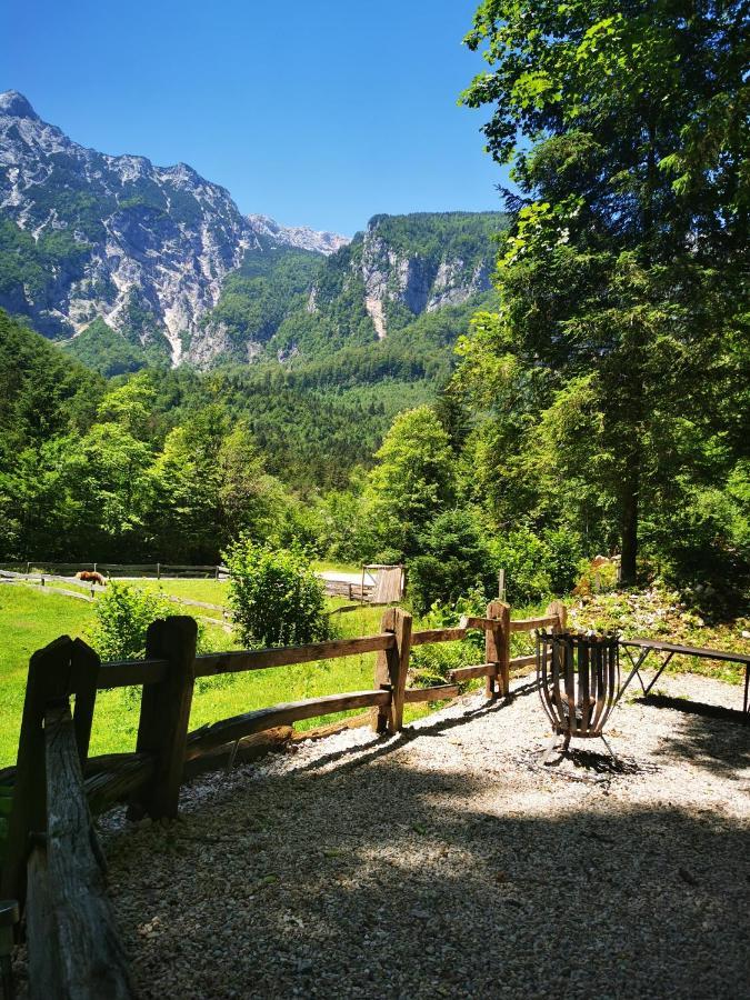 Skalca Βίλα Kamniska Bistrica Εξωτερικό φωτογραφία